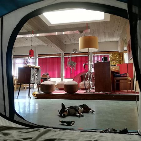 Ghostel 1St - Aventure Alternative - Guest House - Arts-Factory-Experience - For Artists, Makers And Open Minds - Attention, We Are Not A Hotel And Are Not Adapted For Everybody - Read Host Warnings Before Reservation - Www,Providence,Be Asbl 沙勒罗瓦 外观 照片