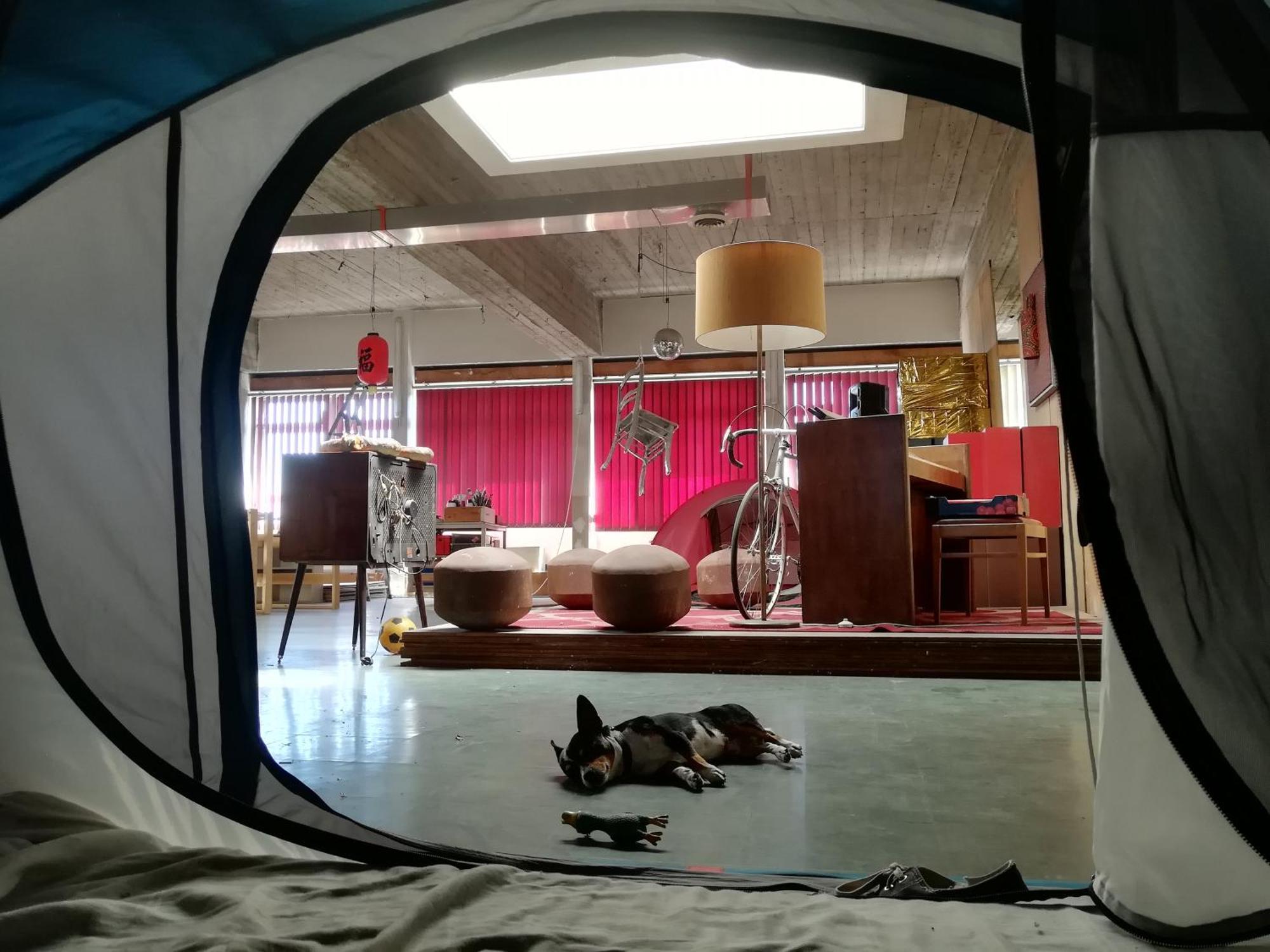 Ghostel 1St - Aventure Alternative - Guest House - Arts-Factory-Experience - For Artists, Makers And Open Minds - Attention, We Are Not A Hotel And Are Not Adapted For Everybody - Read Host Warnings Before Reservation - Www,Providence,Be Asbl 沙勒罗瓦 外观 照片